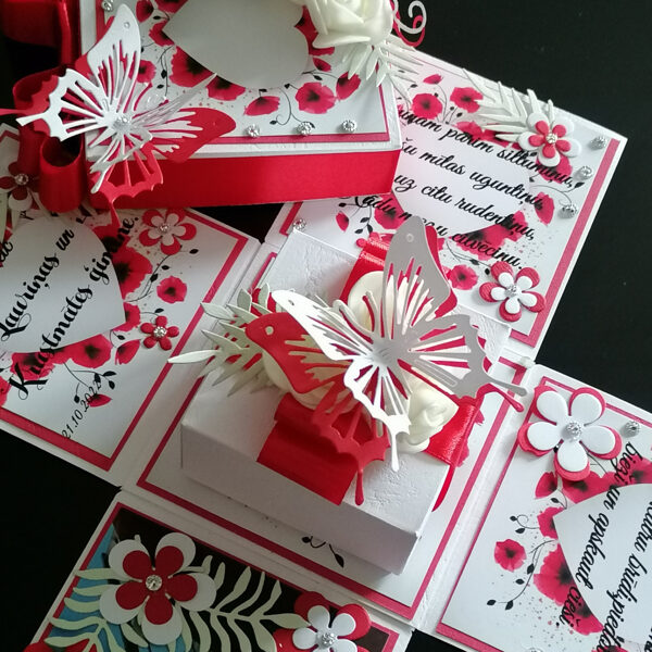 Pārsteiguma kastītes